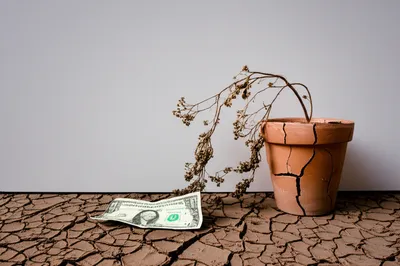 Illustration losses - Image 1