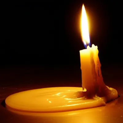 Illustration waxes - Image 1