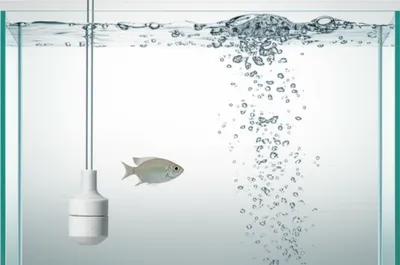 Illustration aeration - Image 2