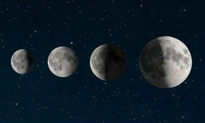 Illustration waxing - Image 1