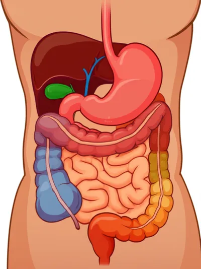 Illustration tract - Image 1