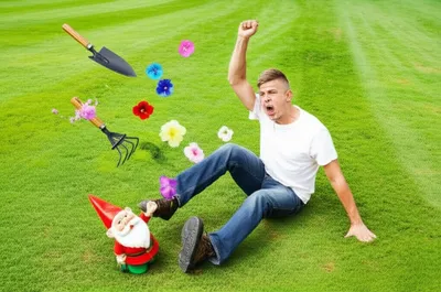 Illustration sodded - Image 1