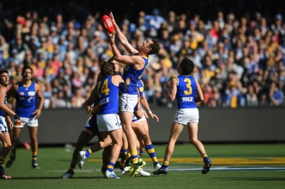 Illustration spec - Image 1