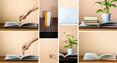 Illustration put - Image 1