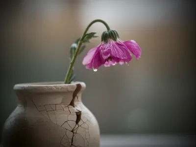 Illustration hurt - Image 1