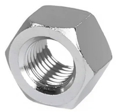 Illustration nut - Image 1