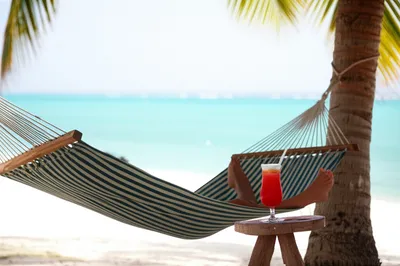 Illustration laze - Image 1