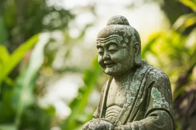 Illustration images - Image 1