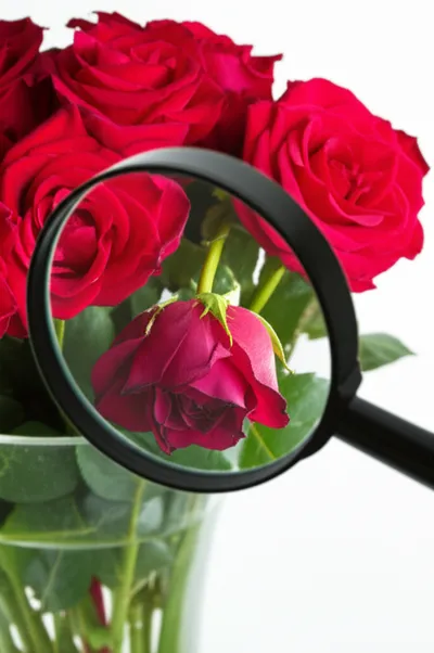 Illustration lacking - Image 1