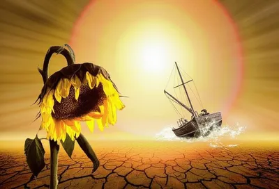 Illustration fry - Image 1