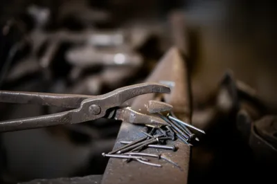 Illustration chinking - Image 1