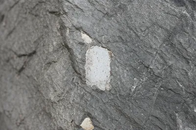 Illustration abraded - Image 1