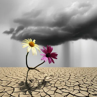 Illustration worse - Image 1