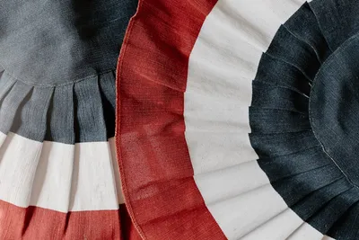 Illustration confederate - Image 2