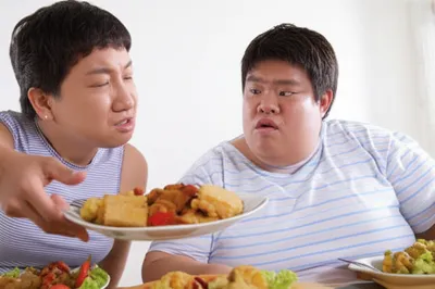 Illustration feeder - Image 1