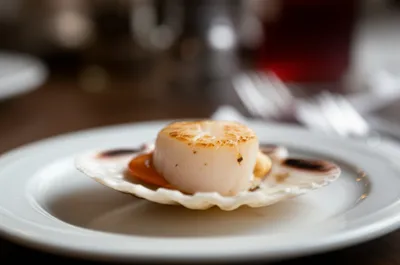 Illustration quin - Image 1