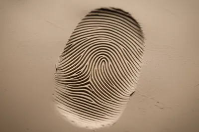 Illustration indent - Image 1