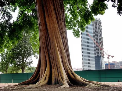 Illustration antedate - Image 1