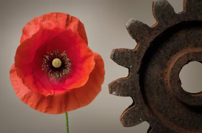 Illustration confronts - Image 1