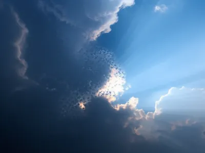 Illustration dissipating