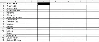 Illustration roster - Image 1