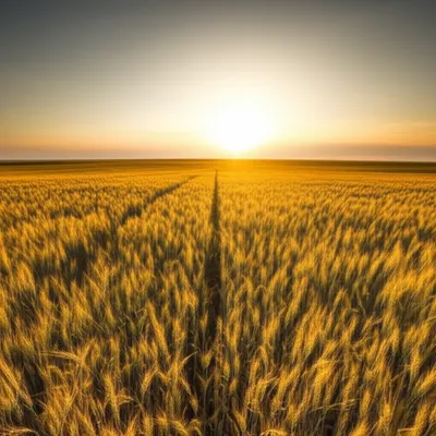 Illustration evening - Image 1