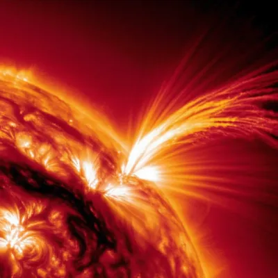 Illustration spicule - Image 1