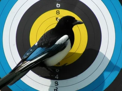 Illustration bullseyes