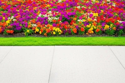 Illustration marge - Image 1