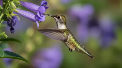 Illustration brushing - Image 1