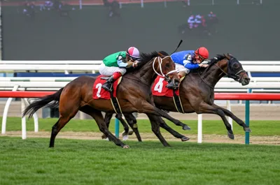 Illustration lug - Image 1