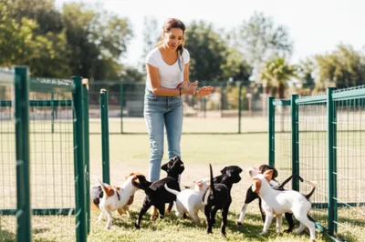 Illustration wrangler - Image 1