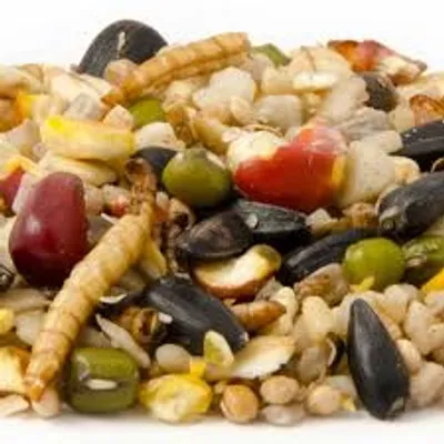 Illustration medley - Image 2