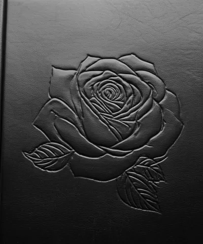 Illustration embossed