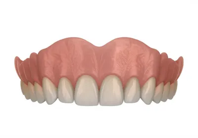 Illustration festoon - Image 1