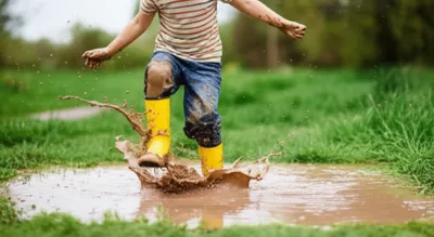 Illustration muds - Image 1