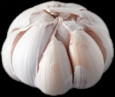 Illustration knobs - Image 1