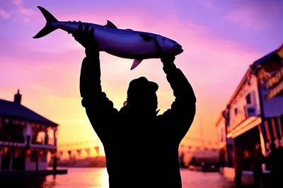 Illustration rewards - Image 1