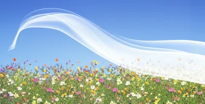 Illustration spiritus - Image 1