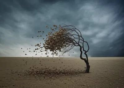 Illustration windy - Image 1