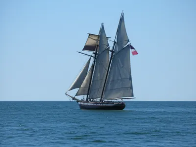 Illustration blanketing - Image 1