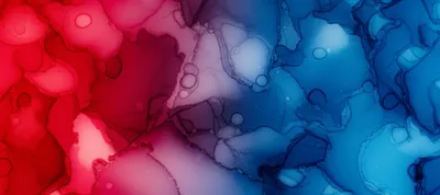 Illustration safranine - Image 1