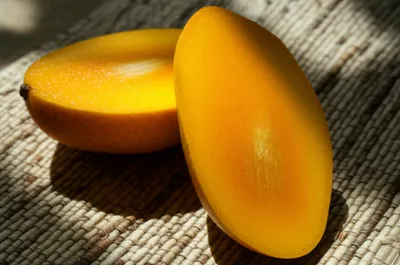 Illustration mellow - Image 1