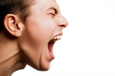 Illustration bellow - Image 1