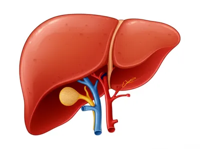 Illustration porta - Image 1