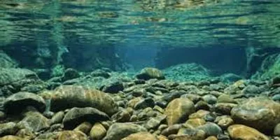 Illustration riverbed - Image 2