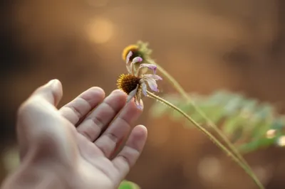 Illustration moves - Image 1