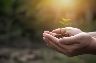 Illustration complied - Image 1