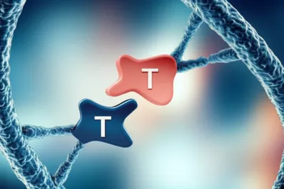 Illustration adenine