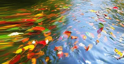 Illustration floats - Image 1